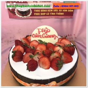 Bánh Sinh Nhật Đẹp - TK241